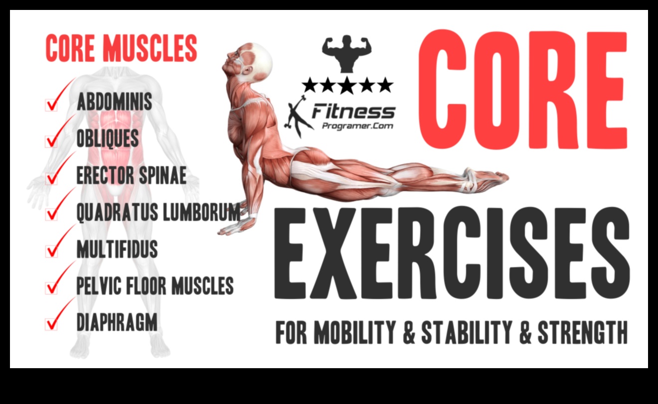 יסודות אב: שליטה ביסודות של תרגילי חיזוק הליבה