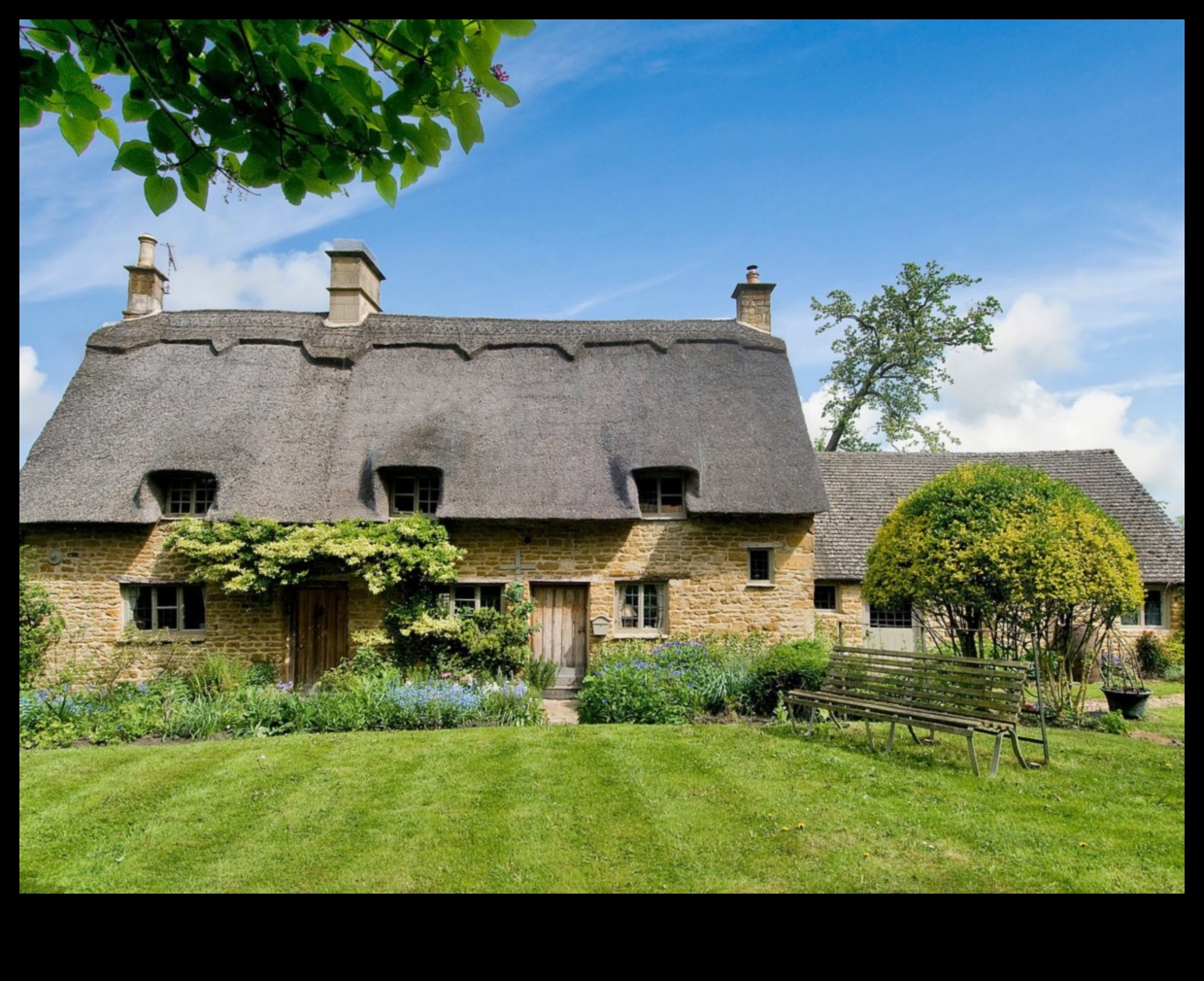 Secret Garden Gems סיור בקוטג' פריחת 5 אבני חן סודיות בגן: חשיפת היופי של פריחת הקוטג'