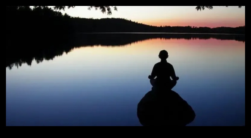 חוכמת ההווה: תובנות מלב תרגולי מיינדפולנס