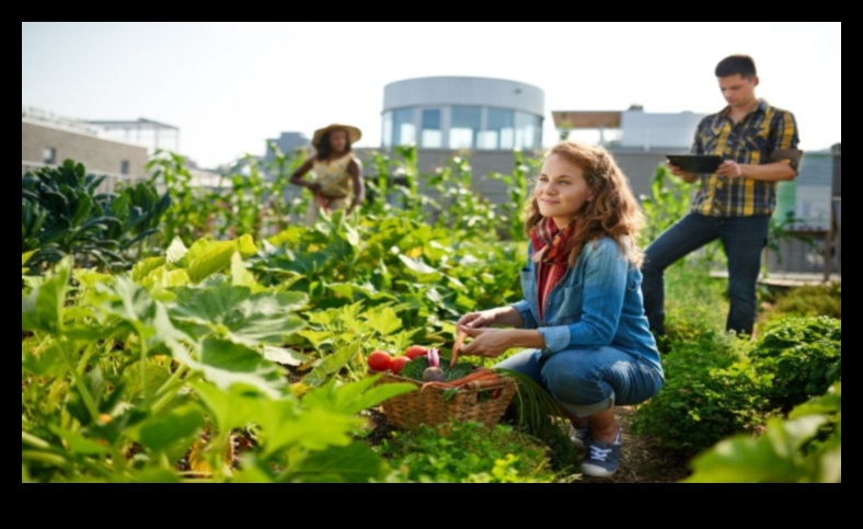 ירוק את העיר: הרפתקאות גינון עירוני