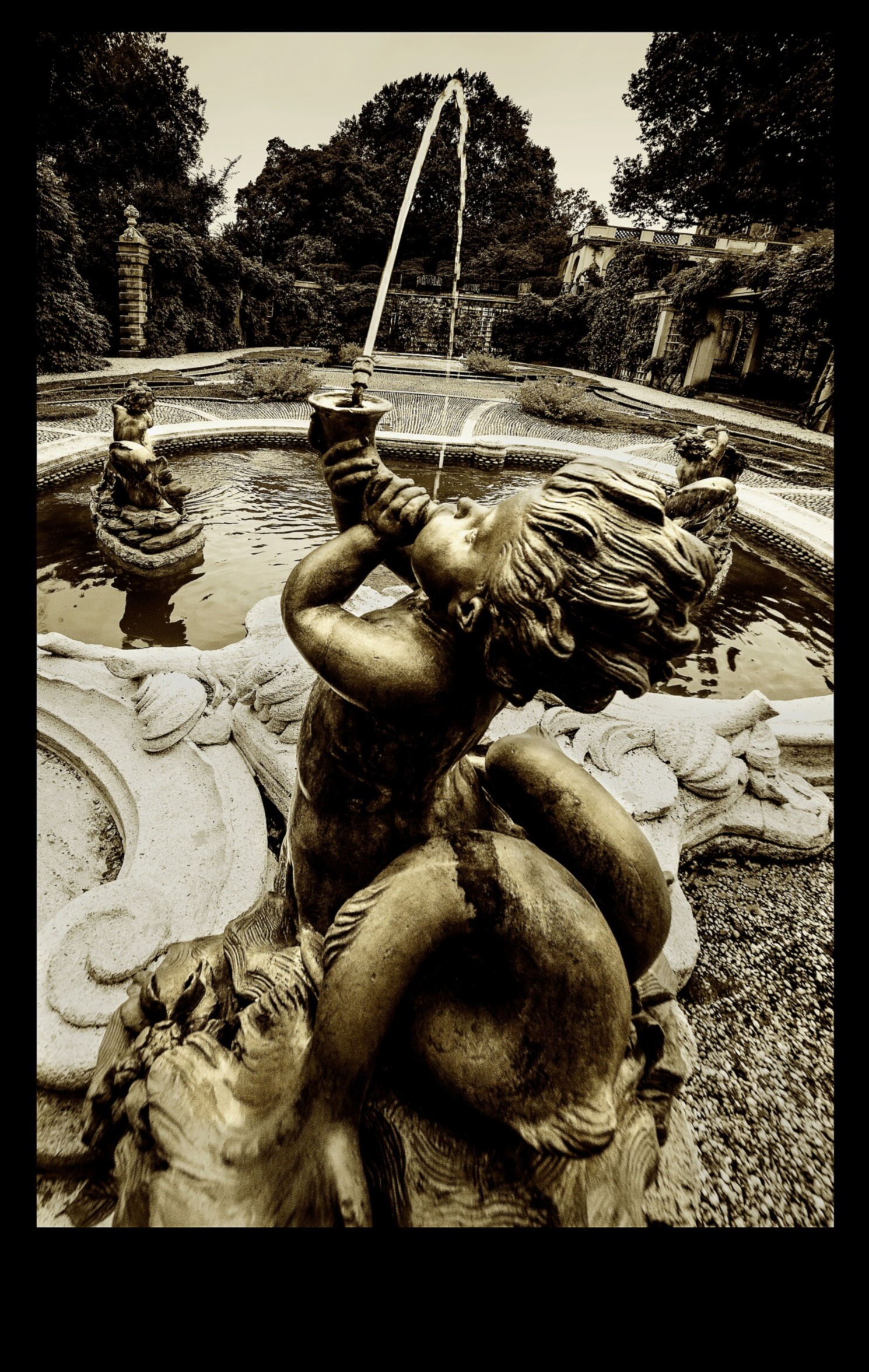 יופי פיסולי: הרם את הגינה שלך באושר אמנותי