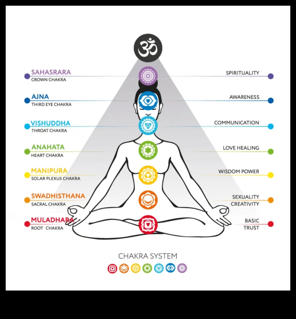 יישור אנרגטי מסע דרך מדיטציית צ'אקרה חקור את שבע הצ'אקרות ואת הקשר שלהן לרווחה הפיזית, הנפשית והרוחנית שלך. 4 יישור אנרגטי: מסע דרך מדיטציית צ'אקרה