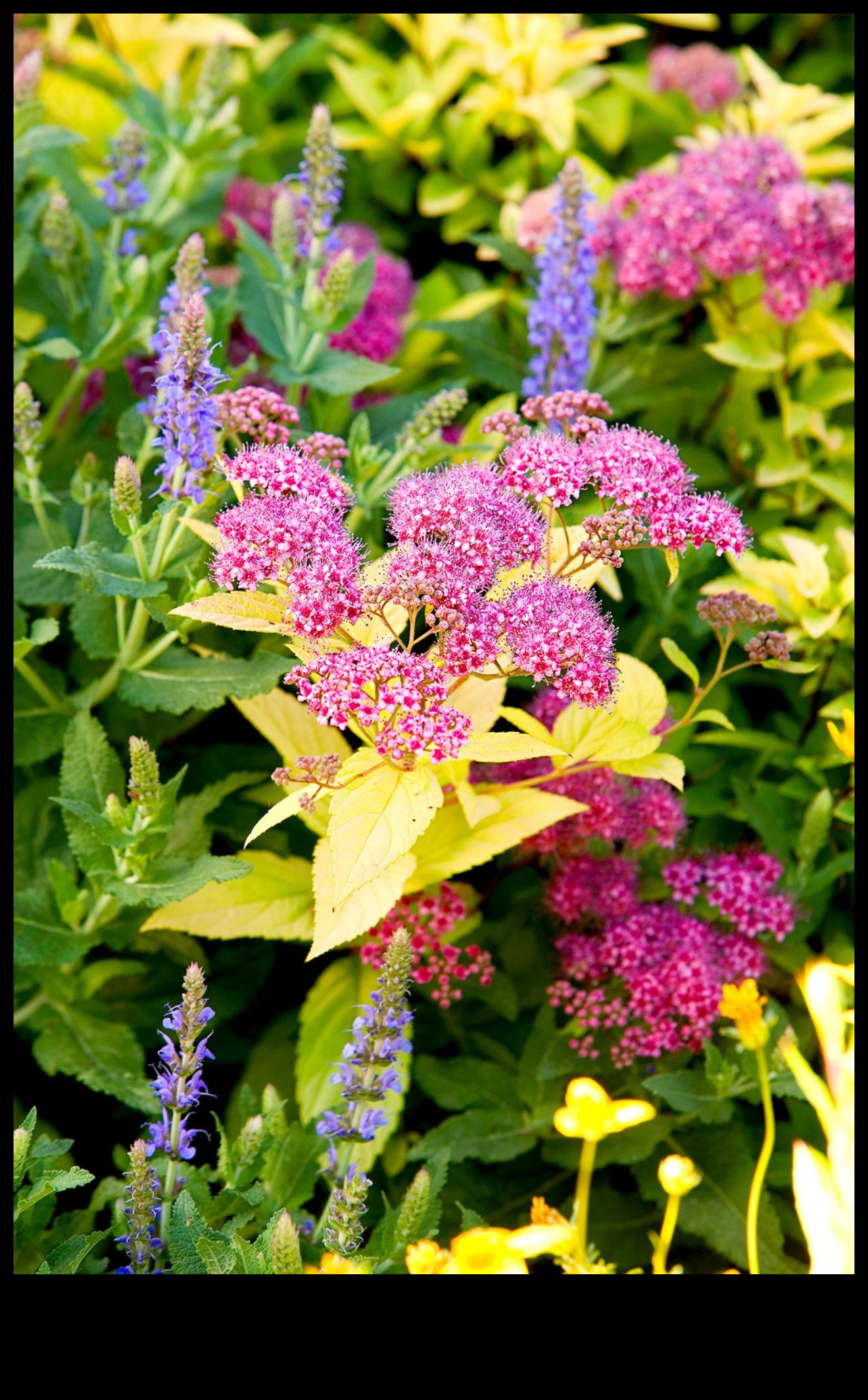 אומנות בפריחה הרם את הגינה שלך עם עיצובים מיוחדים במינם 3 אומנות בפריחה: הרם את הגינה שלך עם יצירות ייחודיות