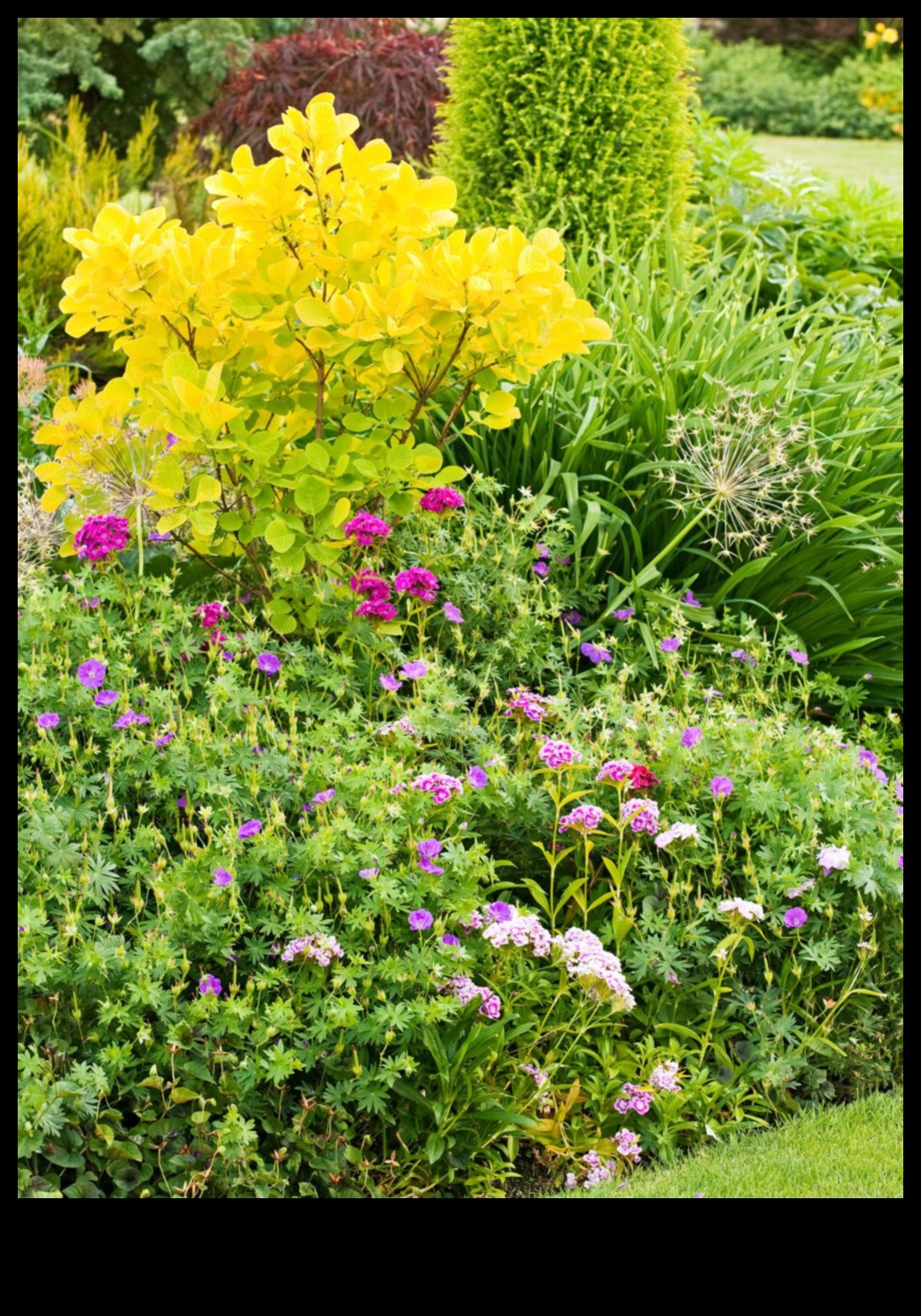 אומנות בפריחה הרם את הגינה שלך עם עיצובים מיוחדים במינם 2 אומנות בפריחה: הרם את הגינה שלך עם יצירות ייחודיות