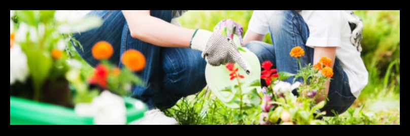 תפיח חיים בנוף שלך: גלה את אומנות הגן האומנותית