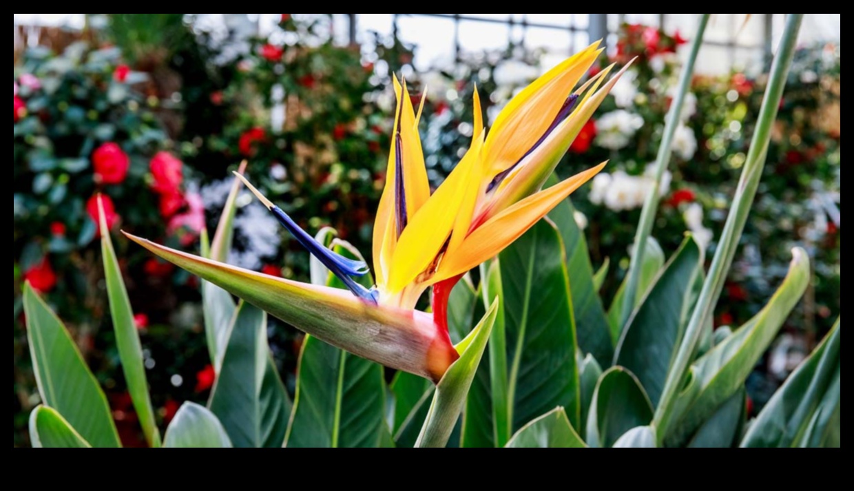 גן עדן בעציץ: גינון מקורה לכל מרחב מחיה