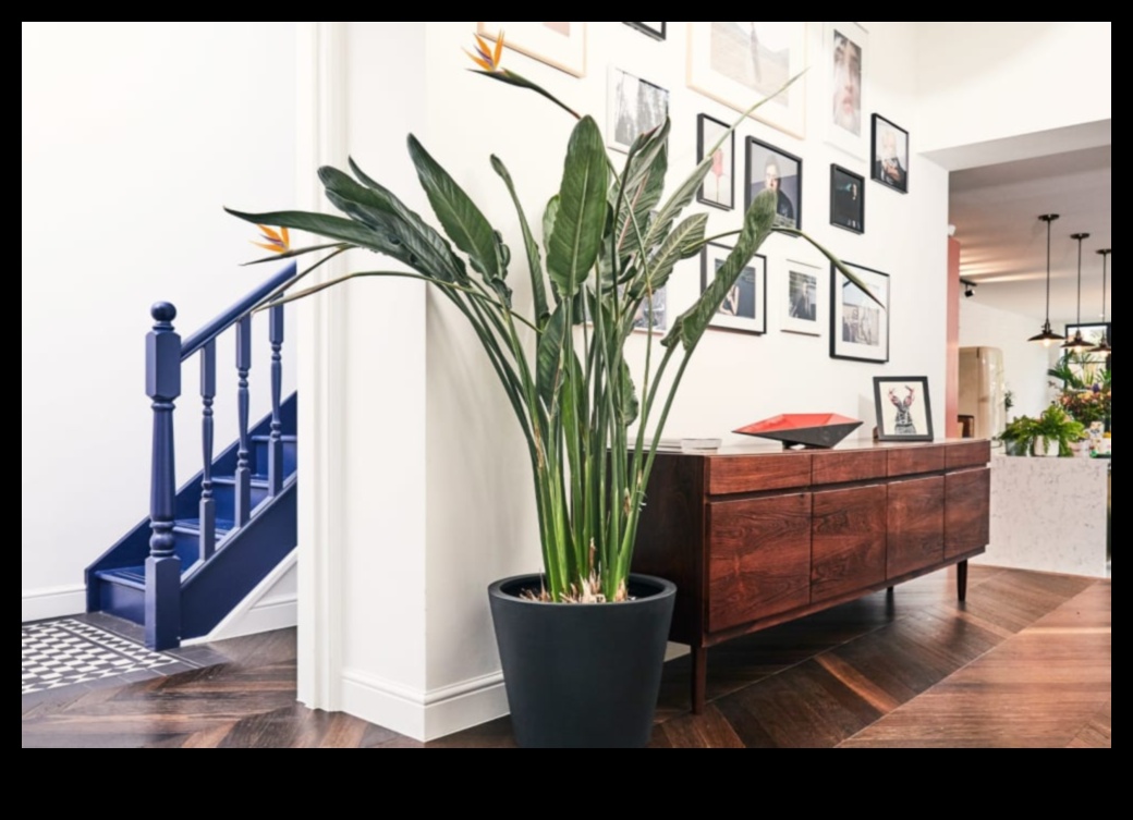 גן עדן בעציץ: גינון מקורה לכל מרחב מחיה