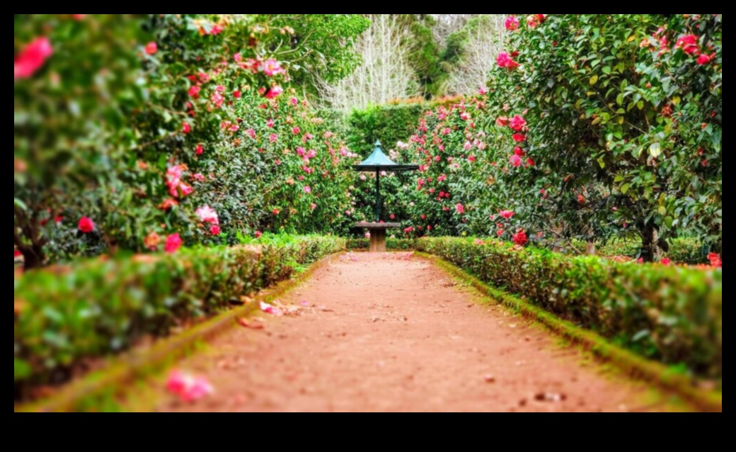 Companion Harmony: The Symphony of Thriving Gardens