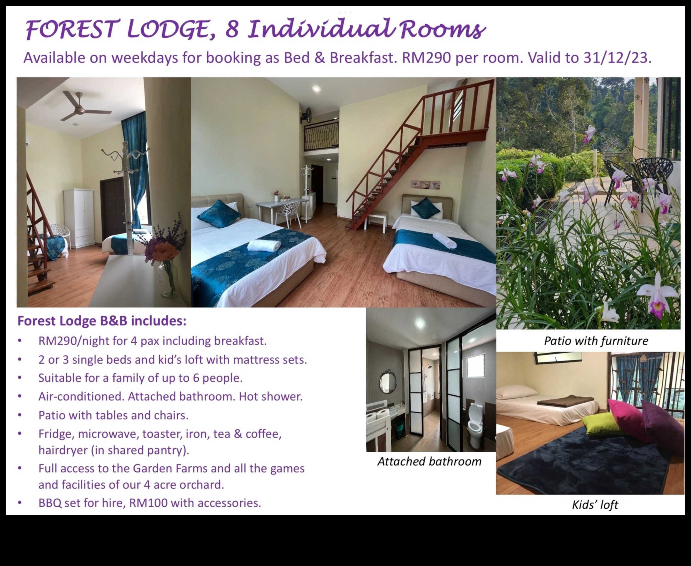 נסיגה קורנת: צלול לתוך עולם ריהוט הגן