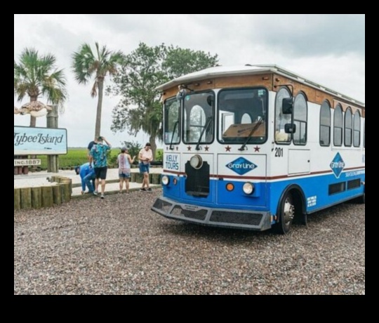 Rolling Rambles: מדריך טיולי האוטובוס האולטימטיבי שלך