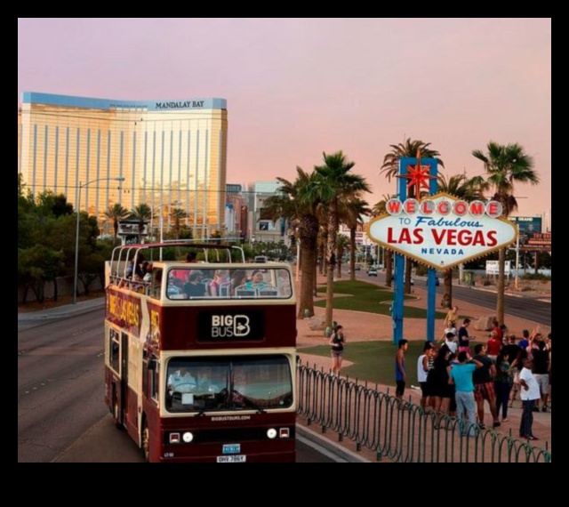 Rolling Rambles: מדריך טיולי האוטובוס האולטימטיבי שלך