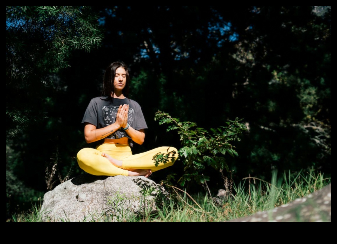 התעלות מודעת - מסע לתודעה גבוהה יותר 2 התעלות מודעת: העלאת חייך באמצעות מודעות