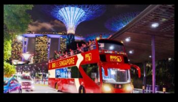 Rolling Rambles: מדריך טיולי האוטובוס האולטימטיבי שלך