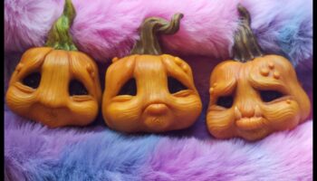 גחמת הנווד: מדריך שובב של מטייל