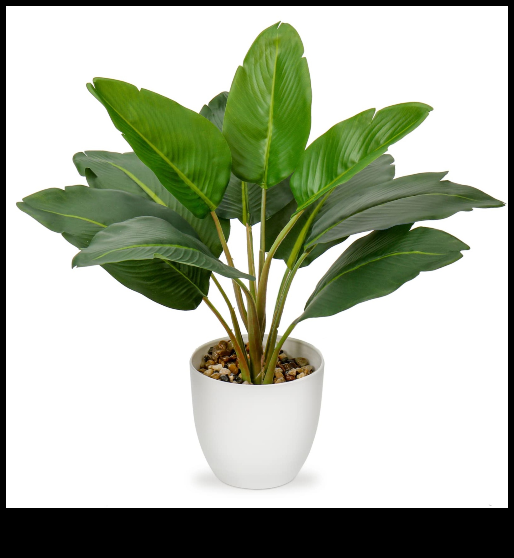 גן עדן בעציץ: גינון מקורה לכל מרחב מחיה