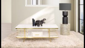 הישיבה של הטבע: חשיפת הפיתוי של נוחות מסוגננת