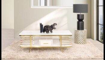 הישיבה של הטבע: חשיפת הפיתוי של נוחות מסוגננת