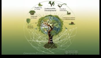 הסימפוניה החברתית: אריגה של הרמוניות בקשרים חברתיים