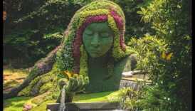 יופי פיסולי: הרם את הגינה שלך באושר אמנותי