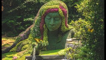 יופי פיסולי: הרם את הגינה שלך באושר אמנותי