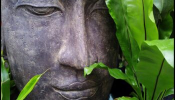 שלווה בפיסול: סדנאות עשה זאת בעצמך שלווה לגינה שלך