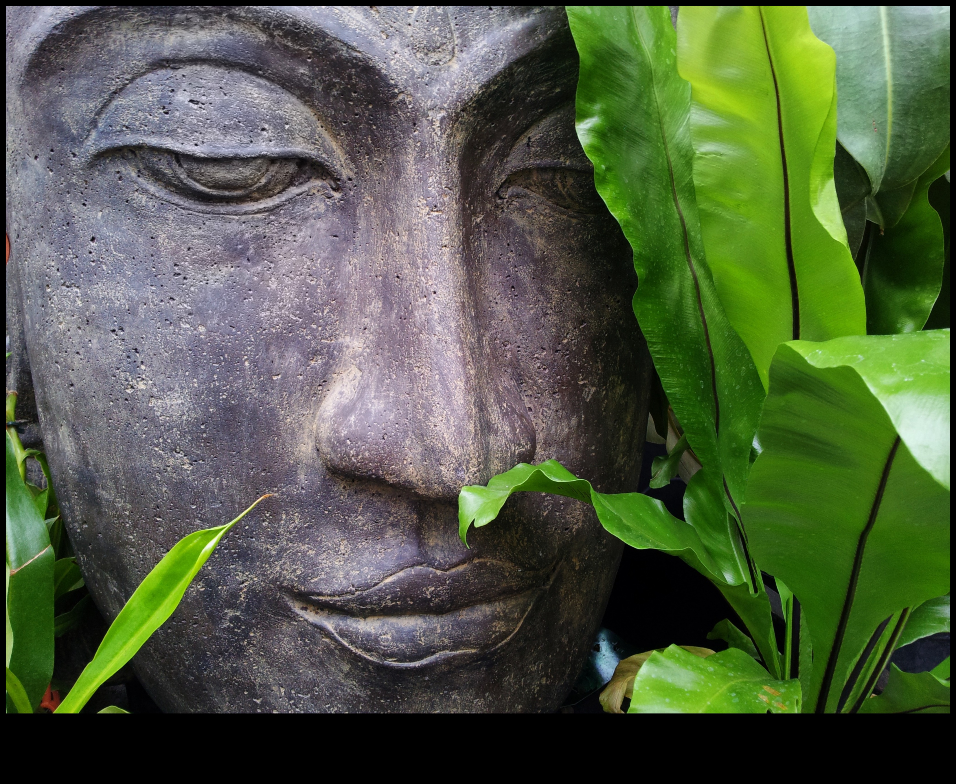 שלווה בפיסול: סדנאות עשה זאת בעצמך שלווה לגינה שלך