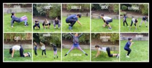 תעלולי בעלי חיים אירובי: אימונים גחמניים לילדים לצחוקים