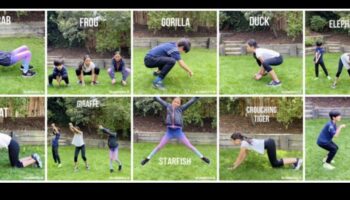 תעלולי בעלי חיים אירובי: אימונים גחמניים לילדים לצחוקים